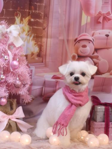 20241222うるちゃん